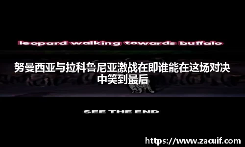EVO视讯APP